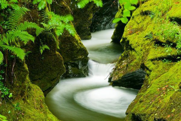 National Trust - Lydford Gorge 4