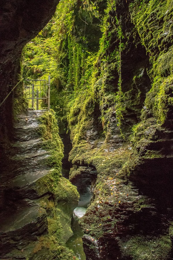 National Trust - Lydford Gorge 3