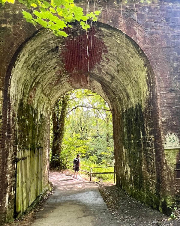 National Trust - Lydford Gorge 2