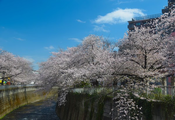 Kanda River 1