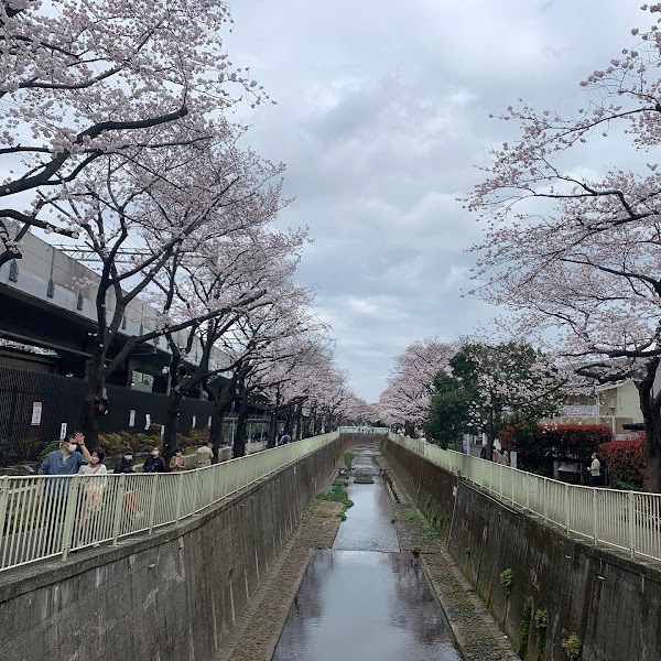 Kanda River 3