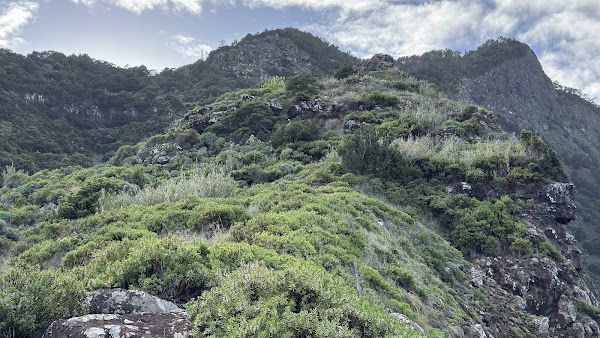 Ponta do Clérigo 4