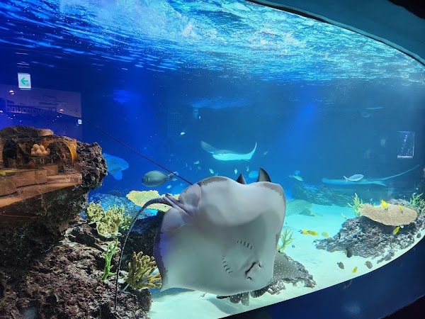 Aqua Planet, Gwanggyo 5