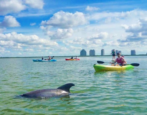 Paddle Naples - CLEAR & Standard Kayaks & SUPs - Bonita Springs