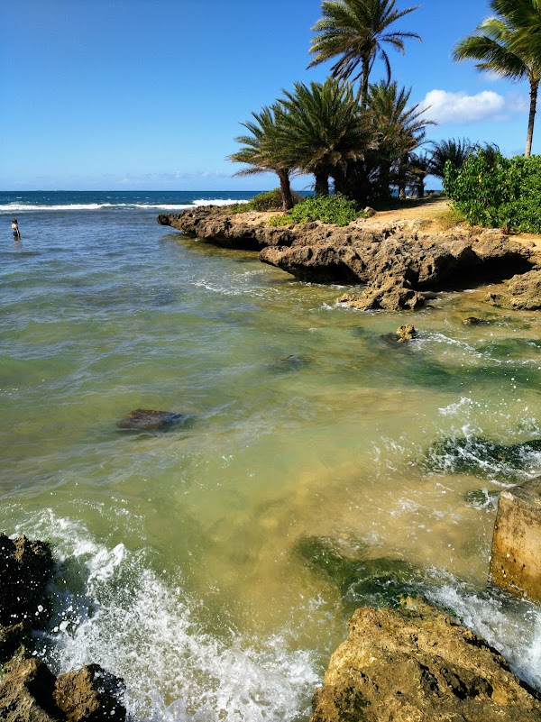 Haleiwa 2