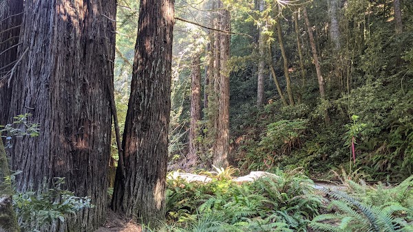 Northern California 