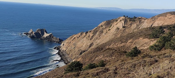 Pacifica 3