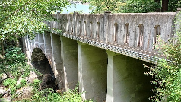 Hayamamegane Bridge 5