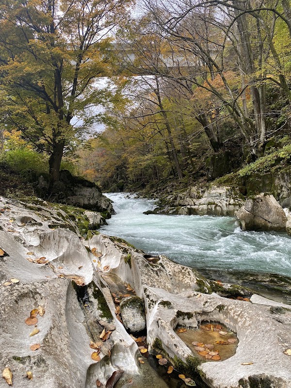 Hayamamegane Bridge 4