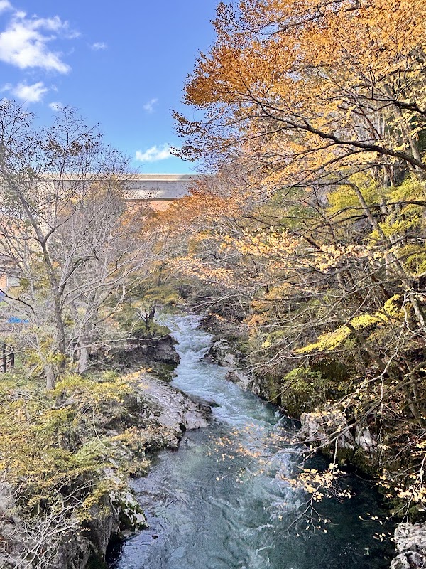 Hayamamegane Bridge 3