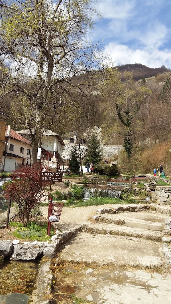 Travnik 5
