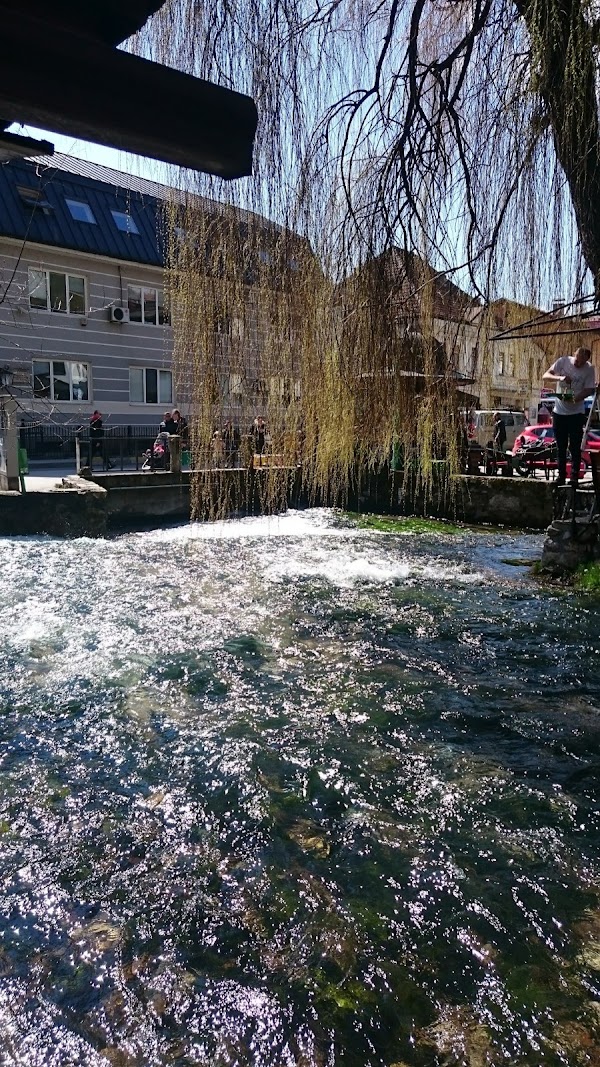 Travnik 4