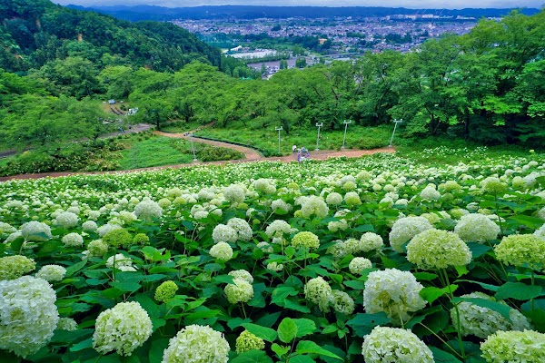 Wonderful Nature Village