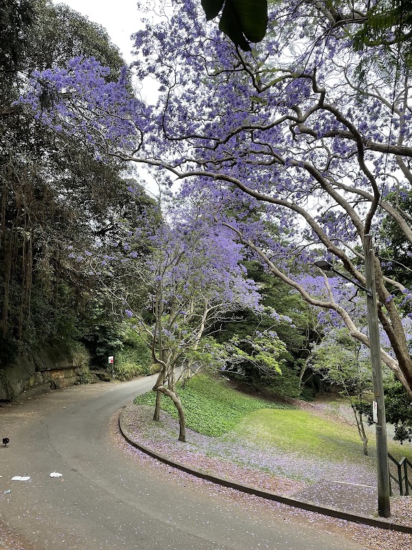 Watt Park