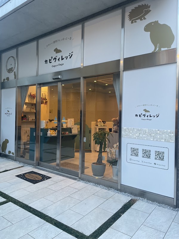 Capy Village - Capybara Cafe