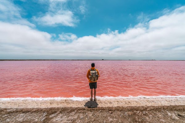 Pink Salt Lake 1