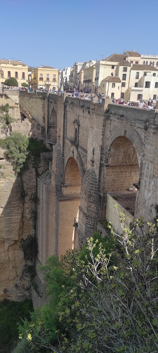 Ronda 5