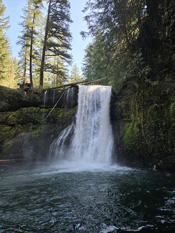Silver Falls State Park 4