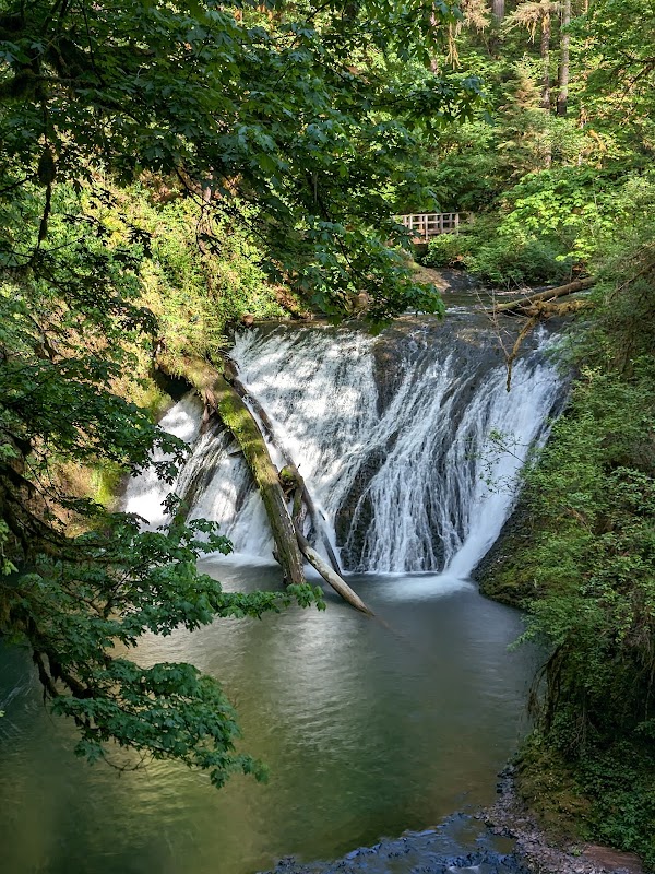 Silver Falls State Park 3