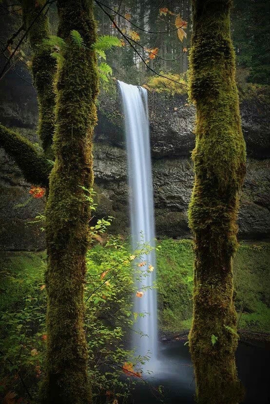 Silver Falls State Park 2