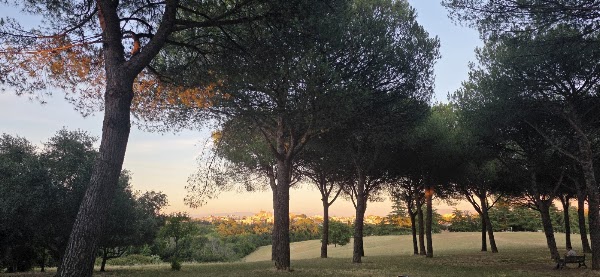 ViVi – Villa Pamphili 3