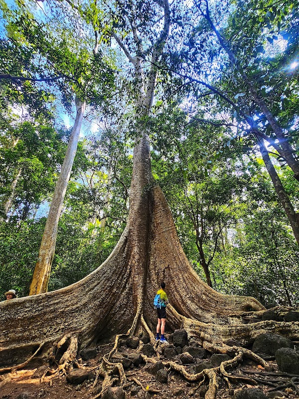 Cat Tien national park