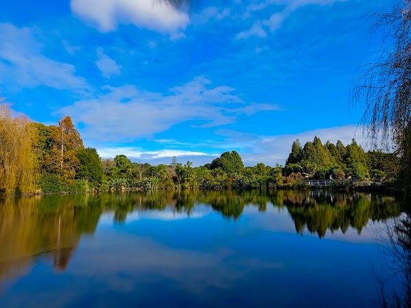 Auckland Botanic Gardens 3