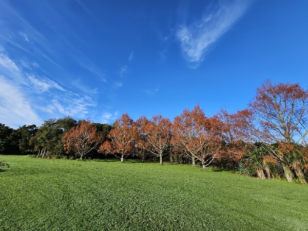 Auckland Botanic Gardens 2