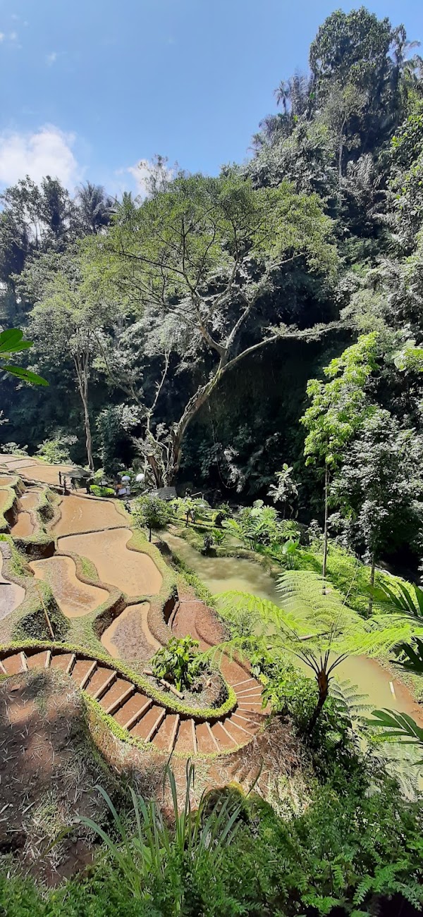 Delodsema Traditional Village, Tegallalang 2