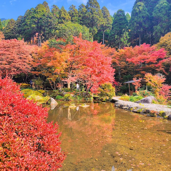 Beppu 44