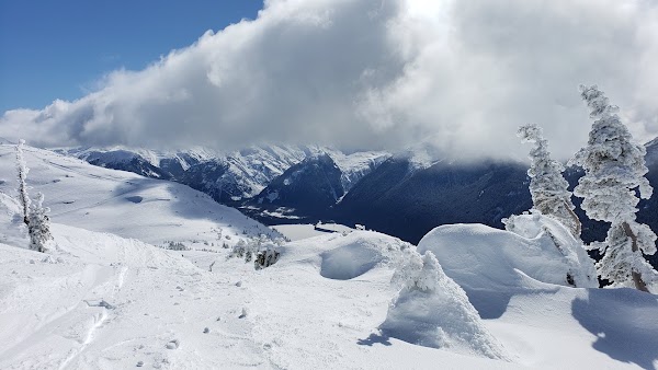 Piccolo Summit