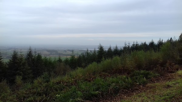Haldon Forest Park 5
