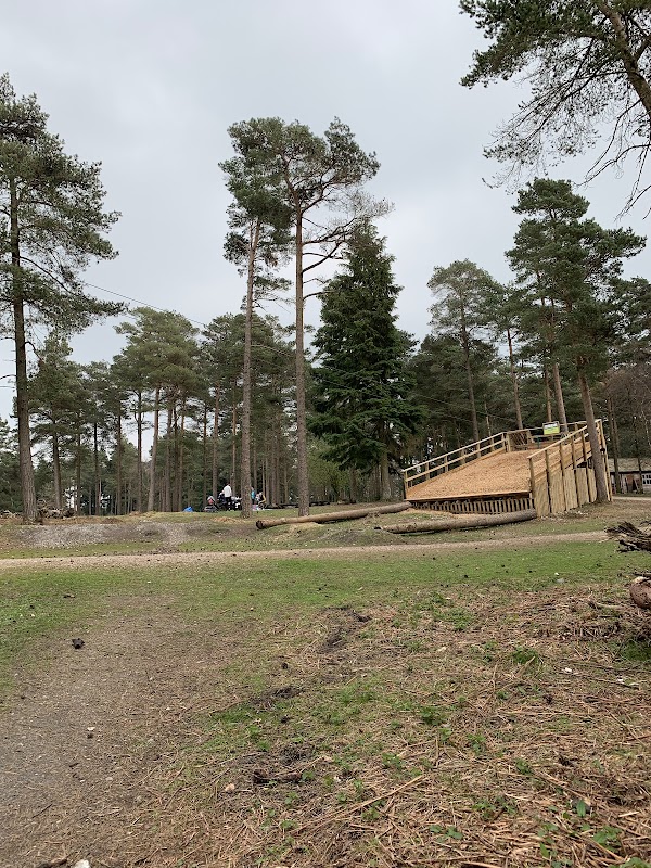 Haldon Forest Park 4