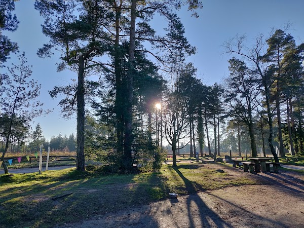 Haldon Forest Park 3