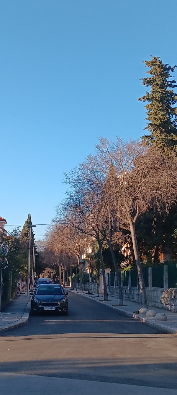 Bačvice
