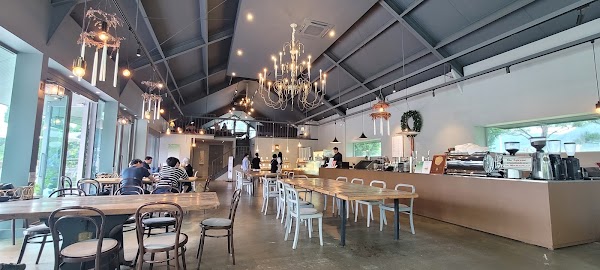 셀로스터스 강화점