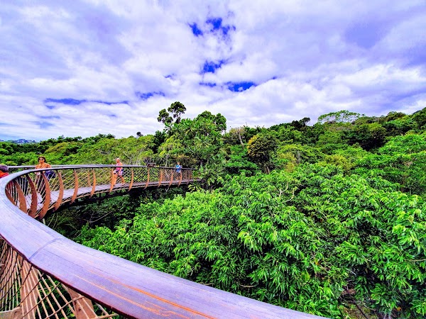 Kirstenbosch National Botanical Garden 4
