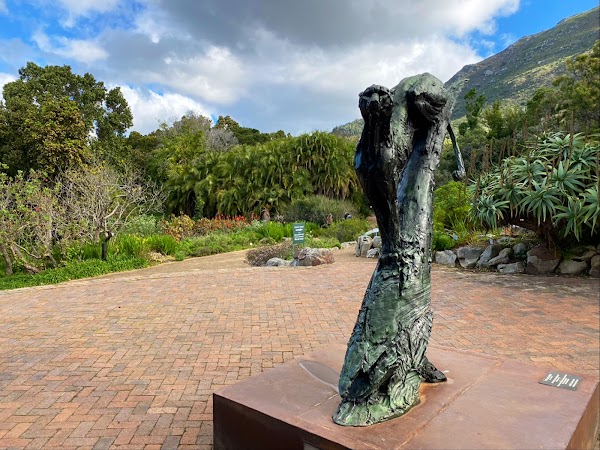 Kirstenbosch National Botanical Garden 3