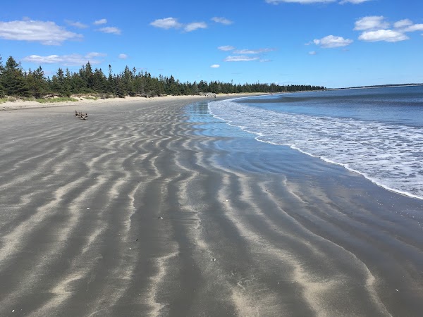 Nova Scotia 61