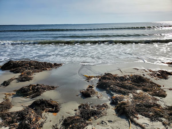 Rissers Beach Provincial Park 5