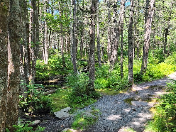 Rissers Beach Provincial Park 3