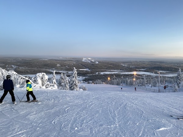 Iso-Syöte