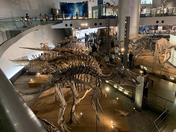 Fukui Prefectural Dinosaur Museum 4