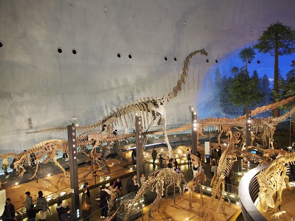 Fukui Prefectural Dinosaur Museum 3