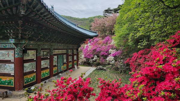 Yeongpyeongsa Temple 4