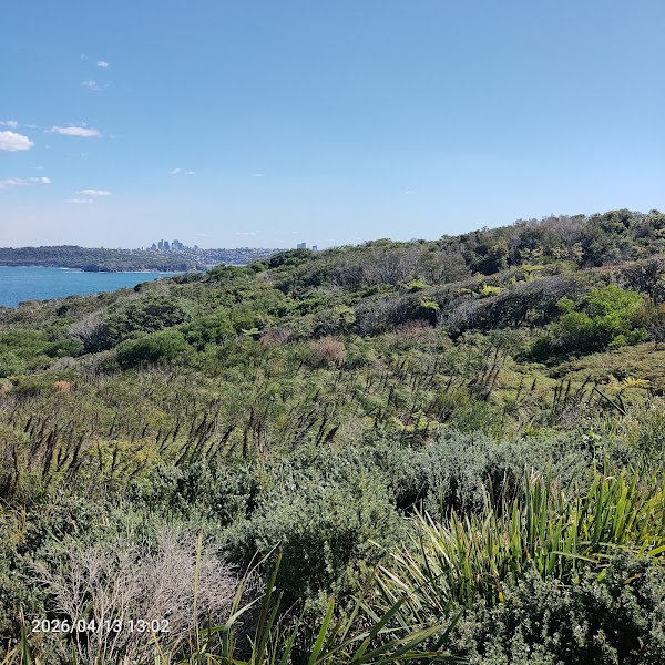 North Head Scenic Drive View Point 4