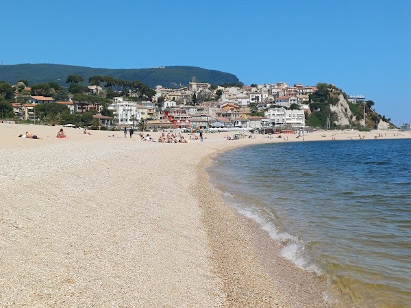 Le Marche  13