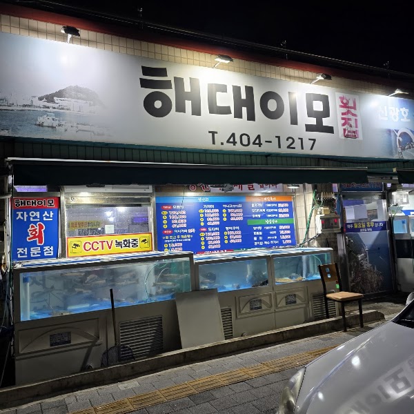 해대이모 3