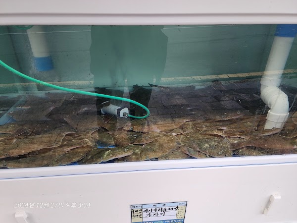해대이모 2