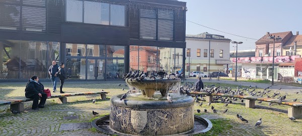 Tuzla 5